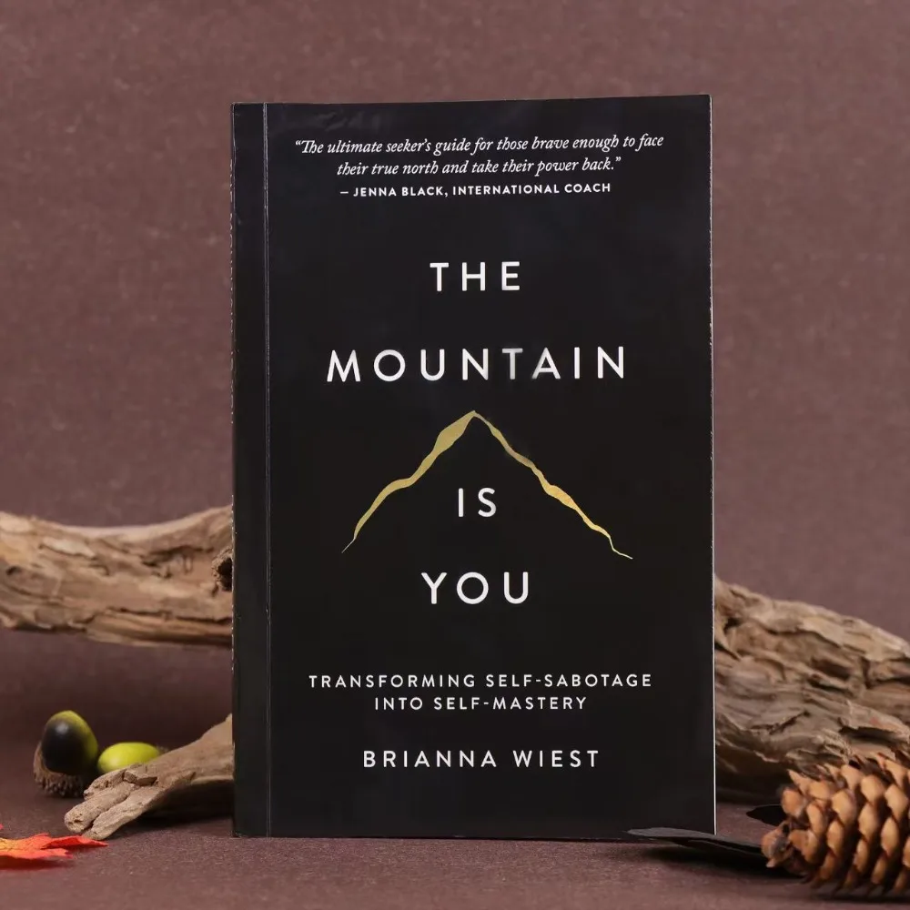 The Mountain Is You English Book Self Transformation Psychology Self Help Reading Book Inspirational Self Growth Novel