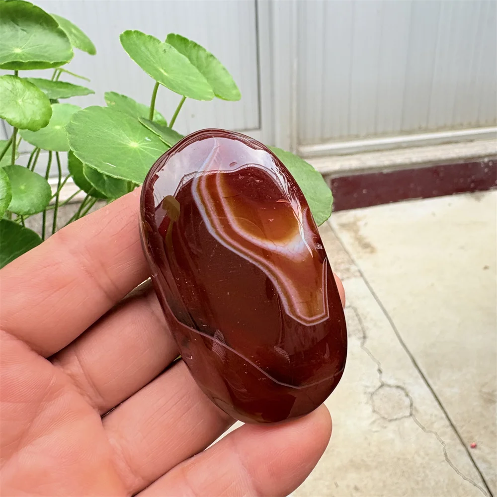 Natural Polished Gemstone, Lace, Red Agate Palm Handle, Meditation, Spiritual Healing Crafts, Home Decoration.