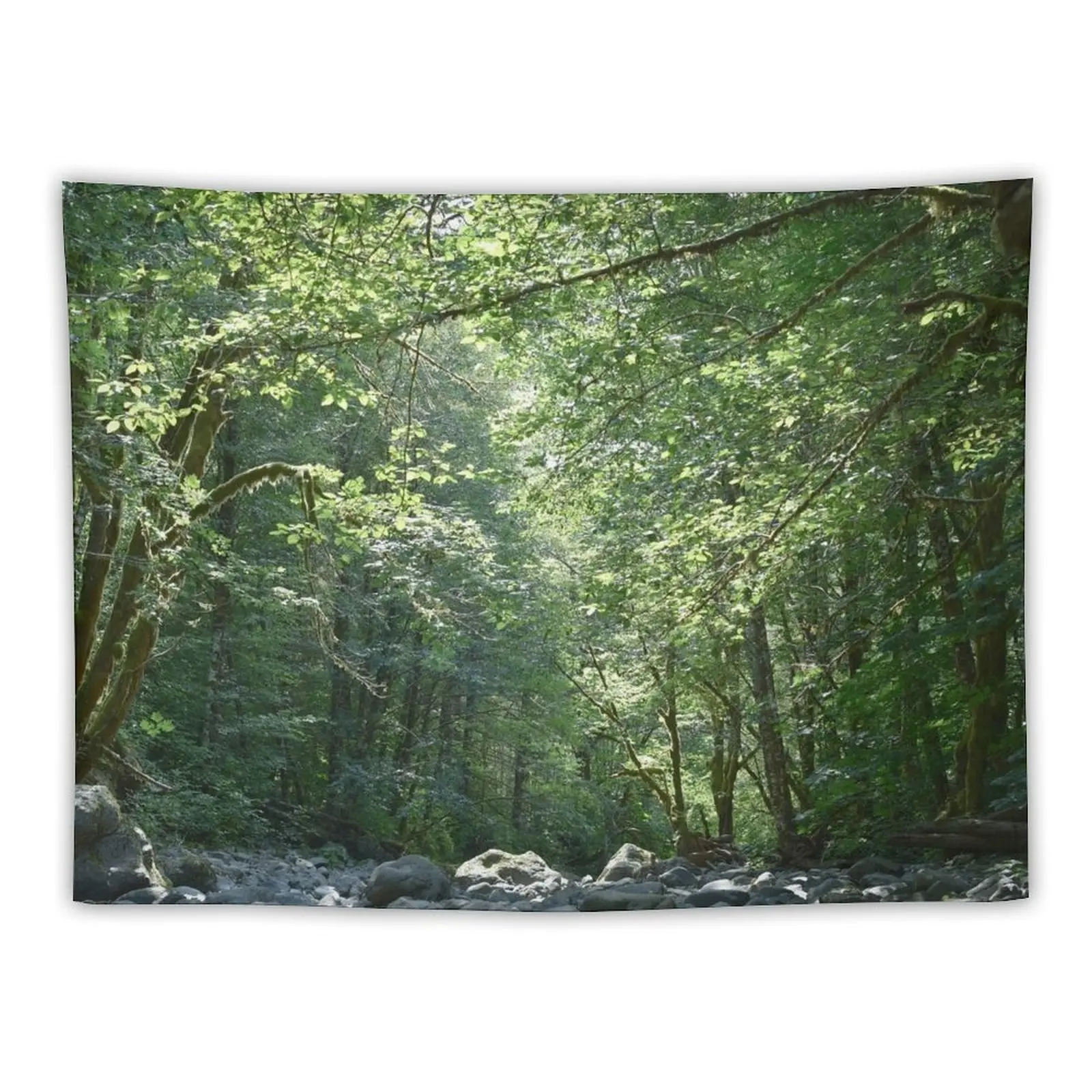 Elk Creek in Tillamook Oregon Tapestry Decoration For Bedroom House Decor Tapestry