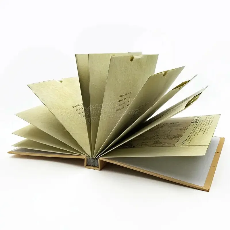 Рисунок 4 - 10-DVD Journey to the West Monkey