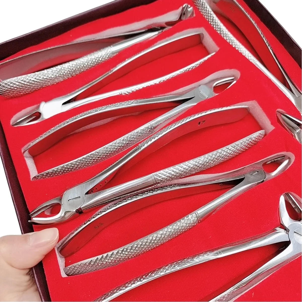 Dental Extraction Forceps Set 10 Pcs Stainless Steel Ergonomic Autoclavable