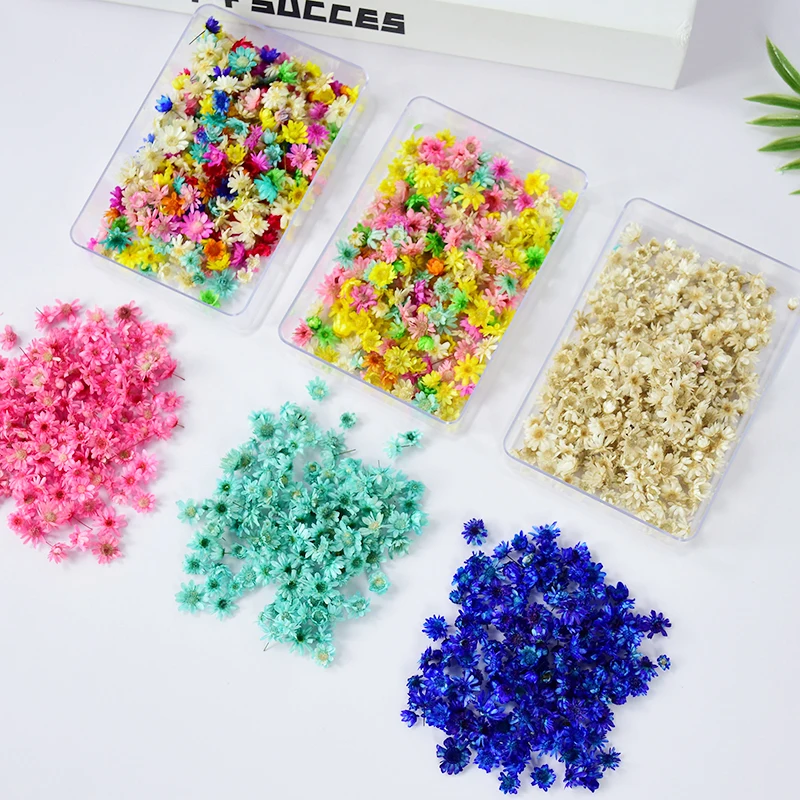 

200pcs/Pack Multicolor Natural Dried Flower Daisy Decorations Handmade Nail Art Designs Polish Manicure Accessories