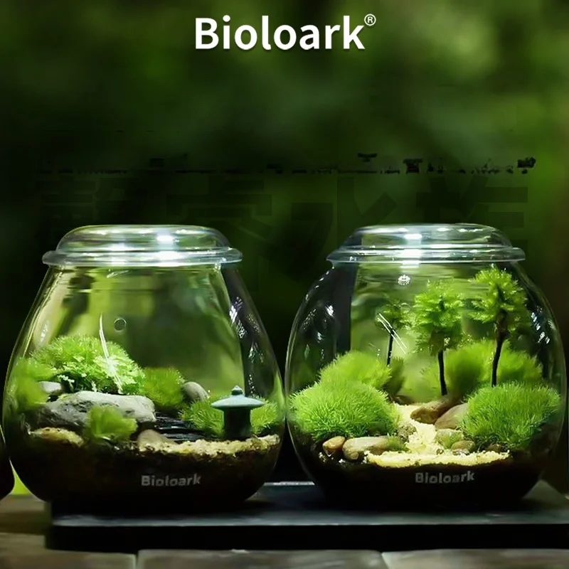 Bioloark Biological Ark Bubble Cup Ecological Bottle Green Plant Moss Bottle Micro Landscape Desktop Landscape Decoration Glass