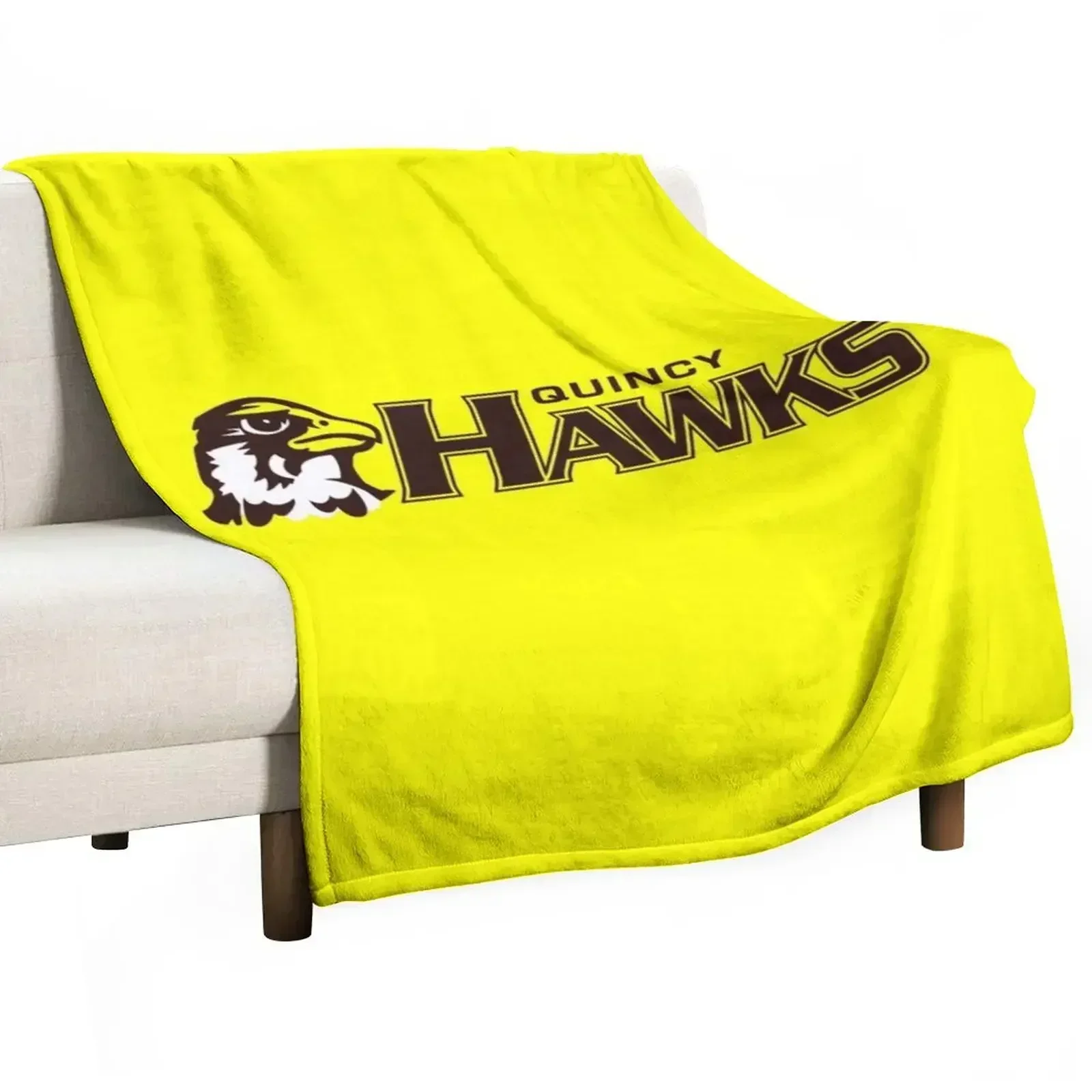 Quincy University Throw Blanket Giant Sofa Hair decorative Blankets