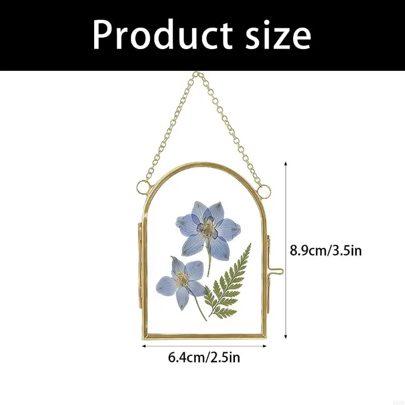 2er-Pack Doppelglasrahmen mit Metallkette für getrocknete Blumen, Pflanzen und Kunstwerke zum Aufhängen an der Wand, B03E – Detail 6