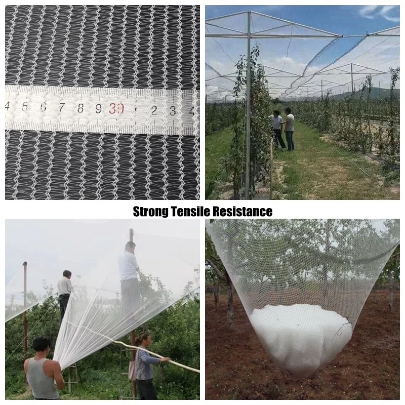 Length 5m Width 2m 3m 4m HDPE Anti-hail Net Garden Vegetable Fruit Plants Protection Cover Anti-bird Insect Pest Control Net