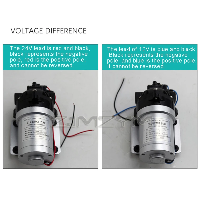 Imagem -02 - Brushless dc Bomba de Água o Auto-escorvante Bomba de Diafragma Início Automático e Stop Booster Dp60 12v 24v 5l por Min de Alta Pressã