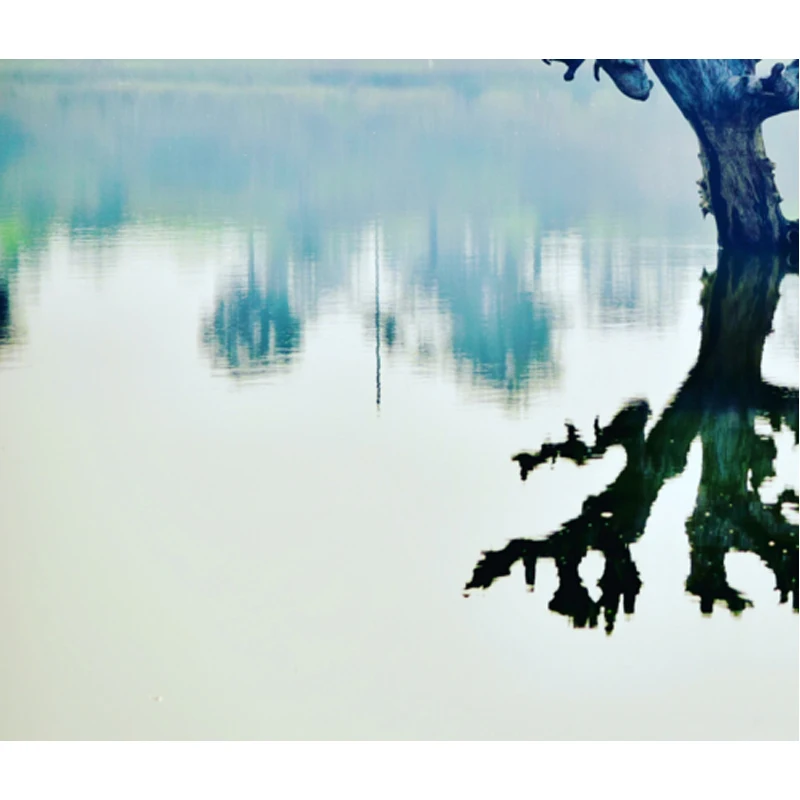 

Профессиональный производитель, машина для вытягивания волос домашних животных, фен для волос, вертикальный отрицательный ион, укладка волос для собак и кошек