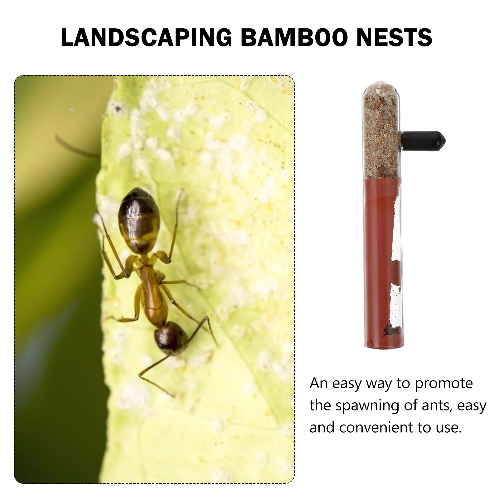 

Glass Tube Nest for Pet Ants Breeding Transparent Ant Habitat with Stopper Ideal for Ant Watching Indoor Terrarium Starter Kit
