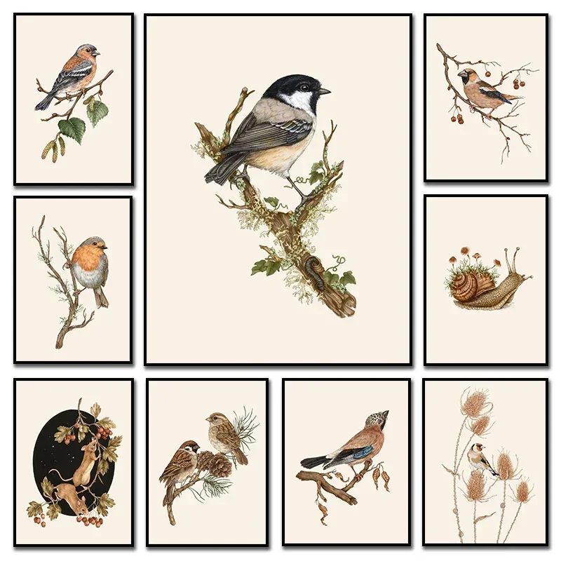 Retro Neutral Animal Garden Snail Goldfinch Mouse on Hawthorn Birds Branches Art Poster Canvas Painting and Prints Home Decor