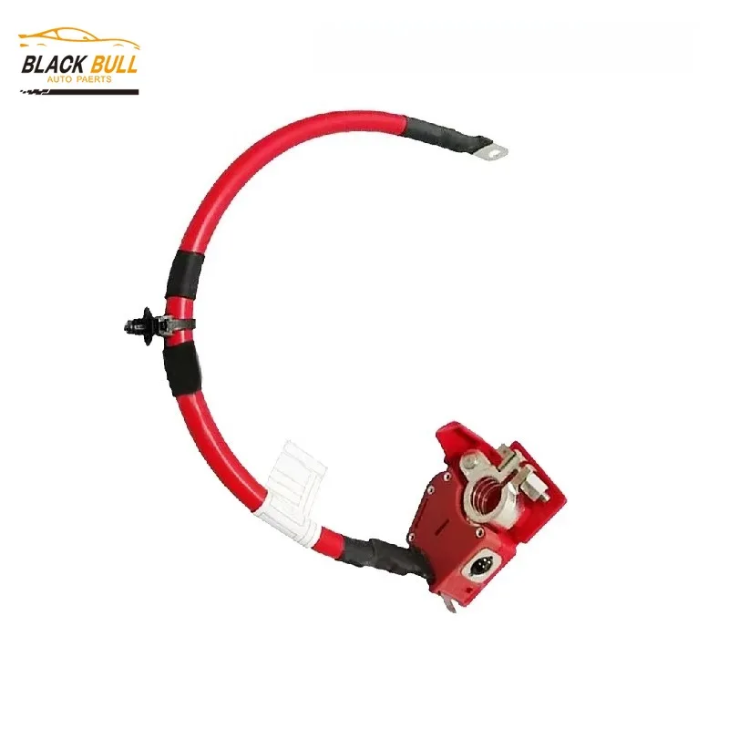 

61128796155 61128704706 1PCS Hybrid Battery Cable For Hybrid BMW 3' Series