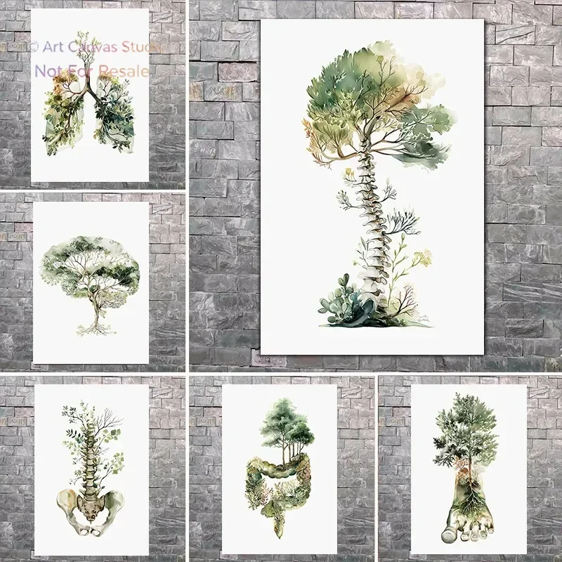 Póster de anatomía botánica en acuarela: pulmones, cerebro, columna vertebral y árbol. Arte de pared para decoración de consu
