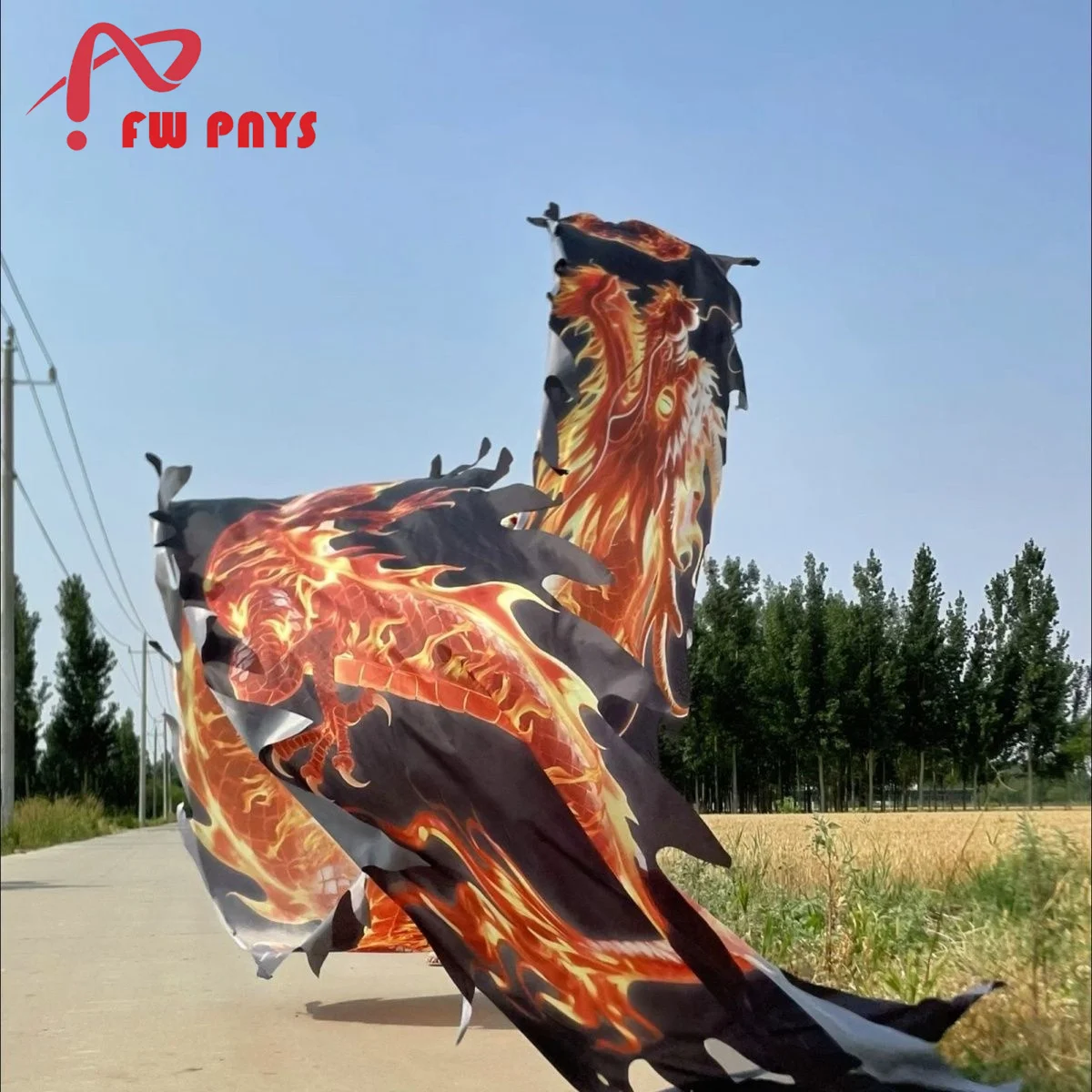 

7-метровая черная лента для фитнеса и танца дракона, аксессуары для взрослых, фестивальный реквизит, божественный узор дракона, только хвост (не входит в себя голову)