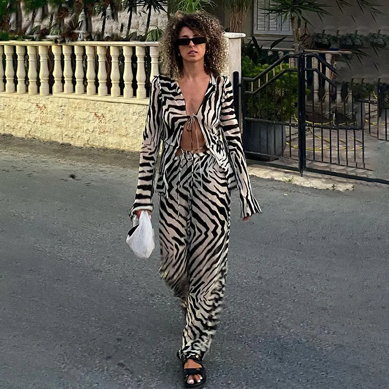 

Animal Print Mesh Sheer Stripe Tie Front Detail Top Matching Sets Fashion Outfits 2 Piece Sets Holiday Beachwear