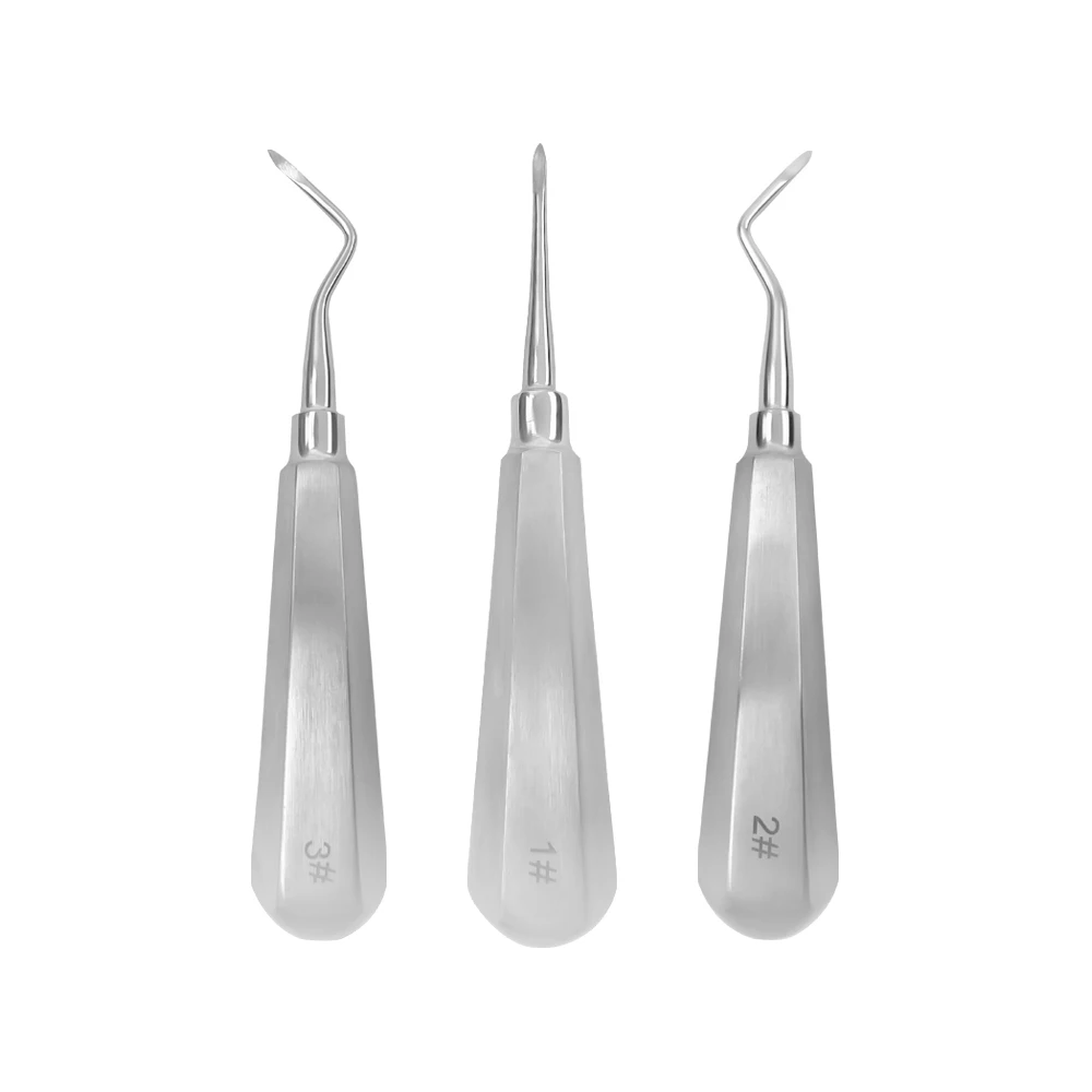 10pcs Dental Elevator Teeth Extraction Tooth Extracting Forceps Stainless Steel Curved Root Lift Elevator Dentist Surgical Tools