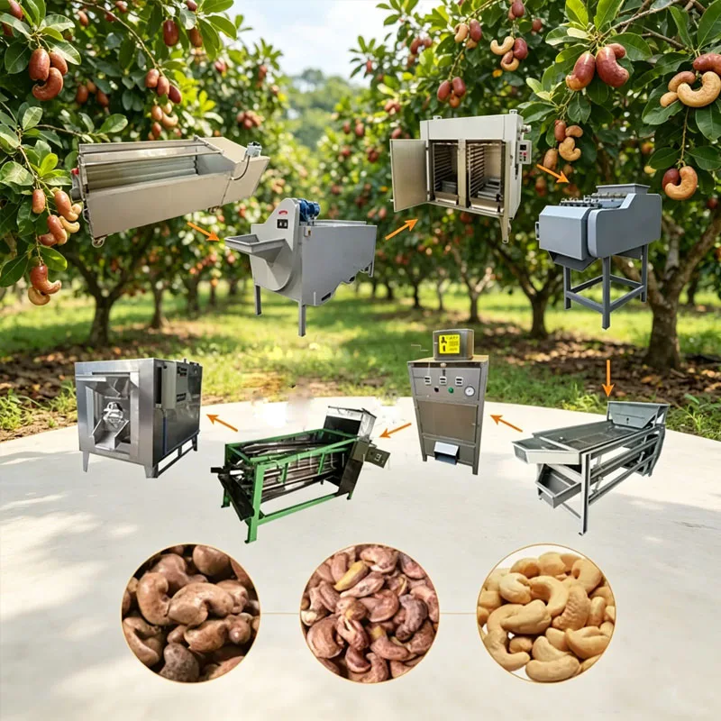 Small Cashew Processing Line with Steam Cracking Repeated Shelling Peeling Drying Oven for Premium Cashew Kernels Customized