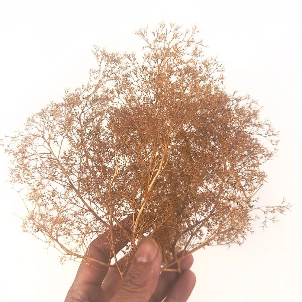 محاكاة العشب الجاف نموذج تشينوبوديوم أشجار الأرستاتوم بوش لطاولة الرمل HO العسكرية المناورات قطار السكك الحديدية المشهد 1 صندوق #5