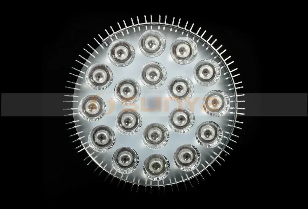 27 W 54 W Reef With…