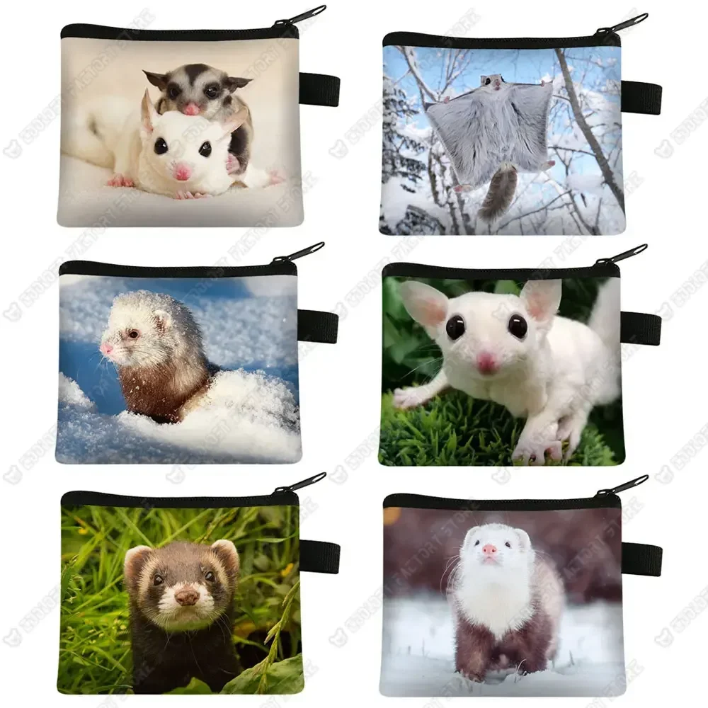 Porte-monnaie en forme d'animal de compagnie, mignon, planeur de sucre/furet imprimé, portefeuille pour femmes, petite pochette pour hommes, porte-cartes de crédit, sac à monnaie cadeau