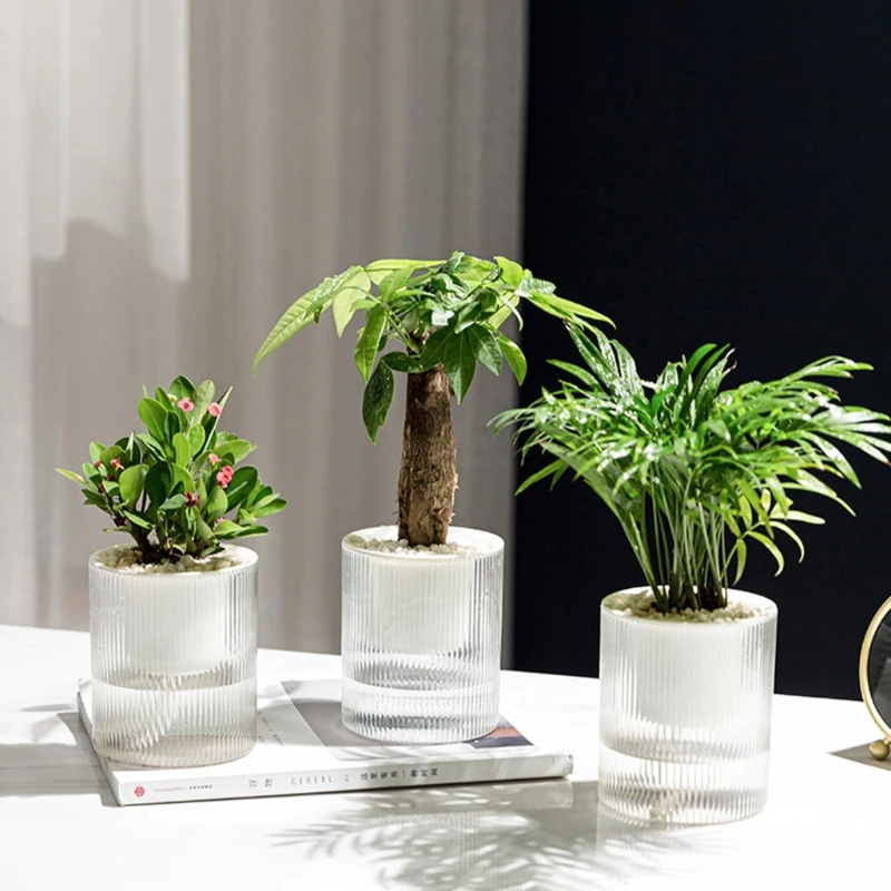F92B Potão planta plástica auto -regada com pavio recipiente água transparente 2 plantador camadas Bacia Flowerpot
