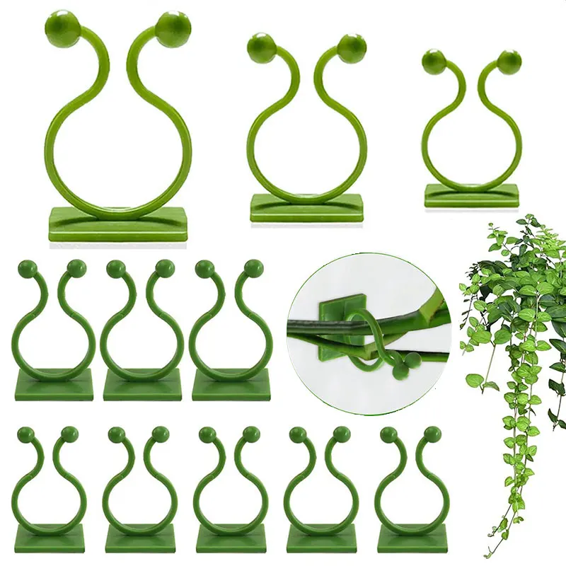 Invisible Wall Rattan Clamp Plant Climbing Wall Self-Adhesive Fixator Self-Adhesive Hook Plant Bracket Sticky Hook Plant Support