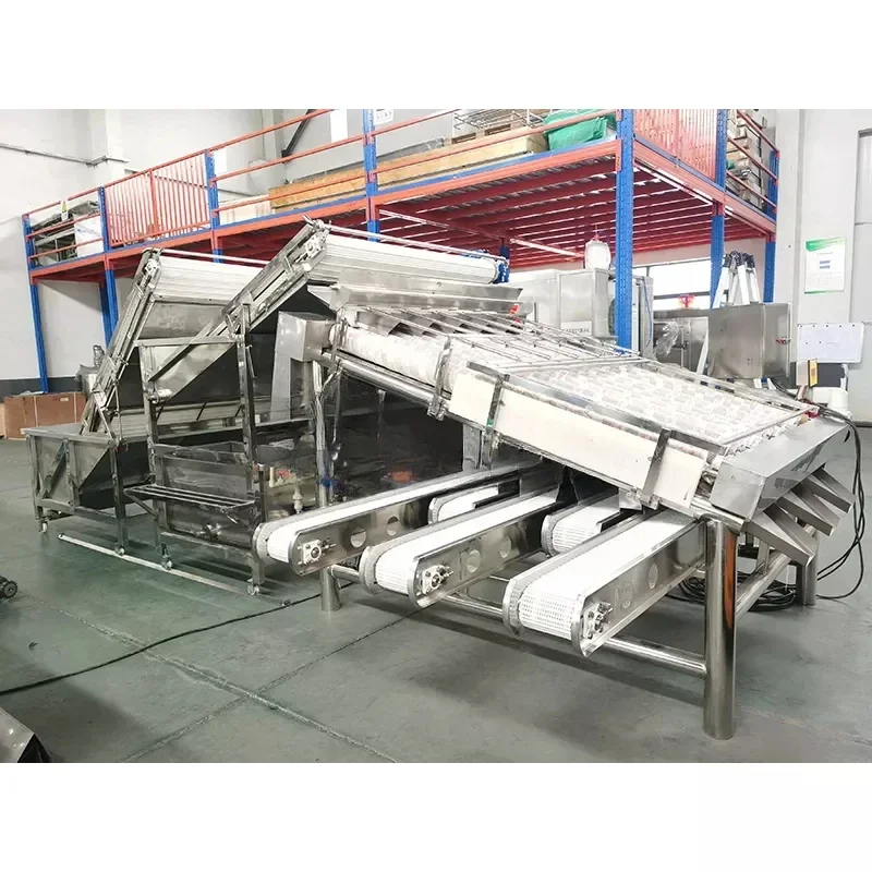 Classificateur 238 facile à utiliser, machine de sélection, ShriAJsize