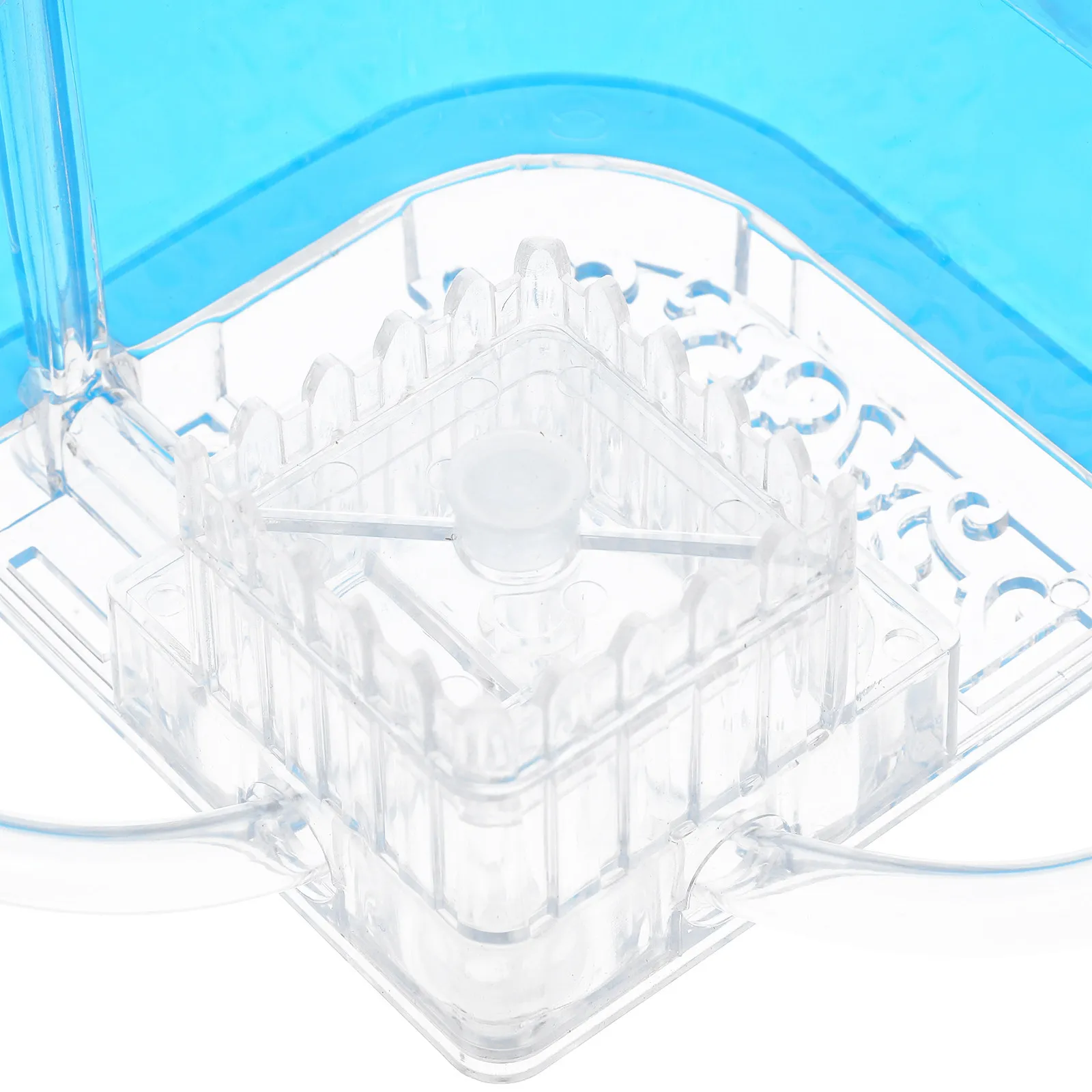 Ant Farm Castle Educational Science for Kids Adults Observe Behavior Social Structure Science Learning