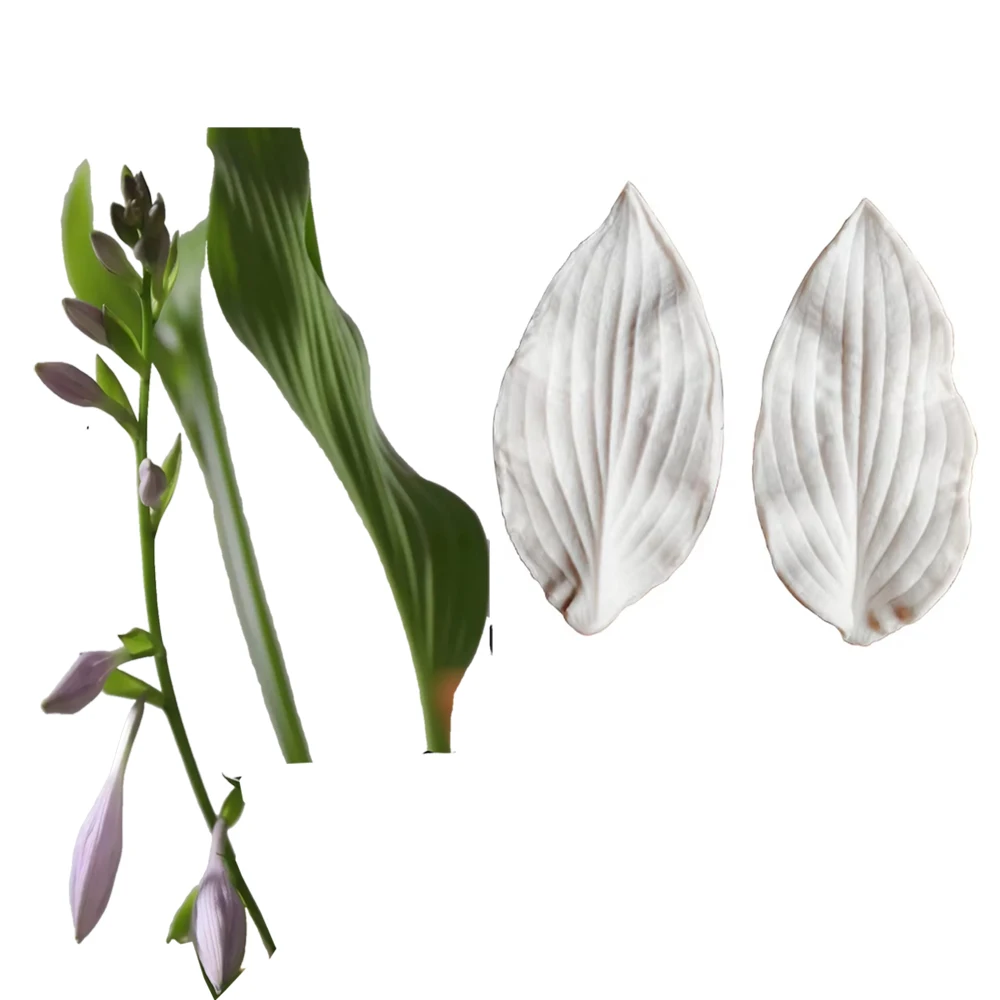 Hosta flower Leaf Mold Impression Mold Silicone Mold Cake Decorating Fondant Sugarcraft Cake Mold Kitchenware M2115