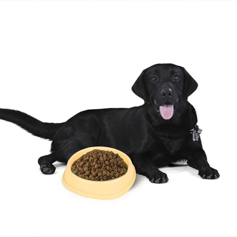 Interactive Slow Feeder Bowl for Small and Medium Dogs - Non-Slip Design Promotes Healthy Eating and Prevents Choking