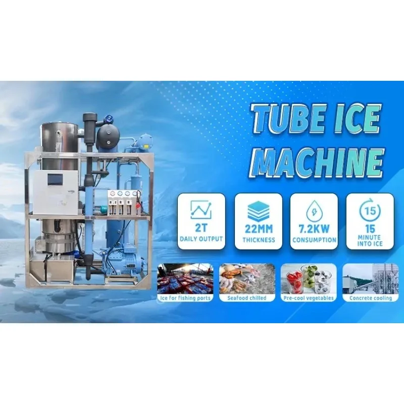 Customize Heavy Duty Automatic Commercial Tube Ice Extruder Machine 20-30 Ton Pump 100kg 1 Year Warranty China CE