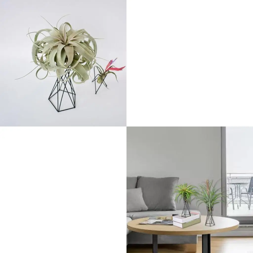 62KD Air Plant Holder Wedding Flower Display Stand Containers Flower Rack Tillandsia