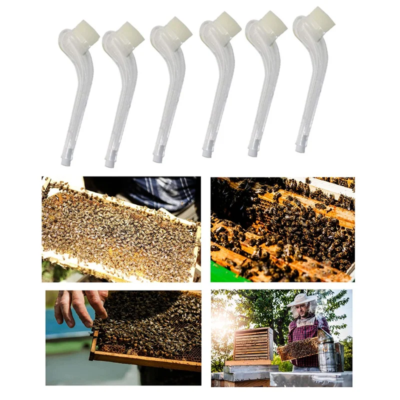 6 Pieces Queen Catcher Prison King Cage Plastic Queen Does Not Hurt Bees Cage Professional Beekeeping Tools-N38R