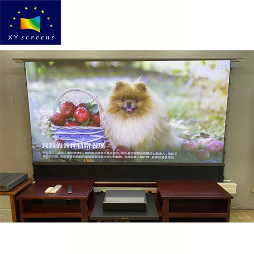 XYSCREEN schermo di proiezione Clr in cristallo per animali domestici a pavimento teso con linguetta elettrica XYSCREEN