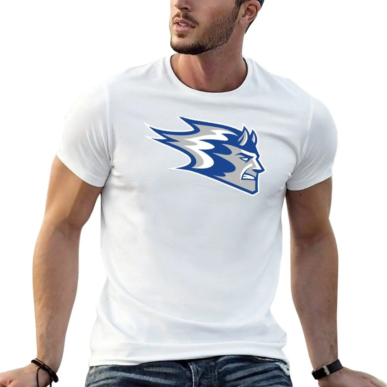 

University of Wisconsin–Stout blue devils T-Shirt t shirt for man g man t shirts for men T-Shirt