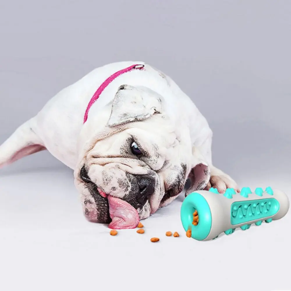 

Bones Shape Dog Teeth Grinding Stick TPR Bite Resistant Non-slip Teeth Cleaning Pet Gift Dental Care Interactive Dog Toy