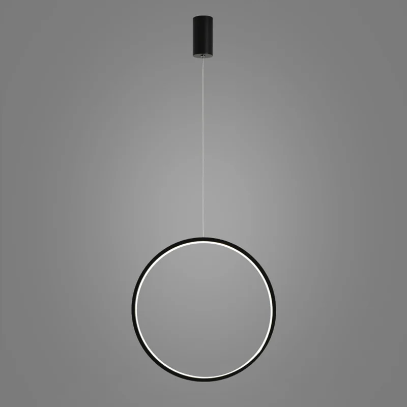 Circle Round Pendant Light Hanging Ring Pendant Lamp Modern Vertical Ring Droplight for Stairs Lobby Simple Lighting Fixture