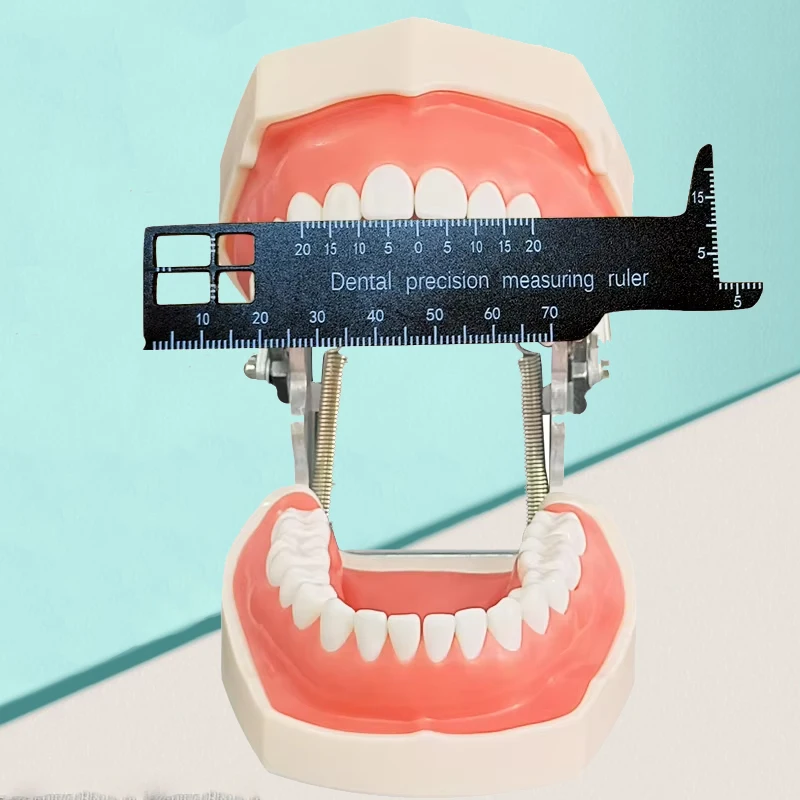 

1pcs Dental Precision Measuring Ruler Scale Endodontic Instrument for Photography Span Measure Dentistry Medical Tool