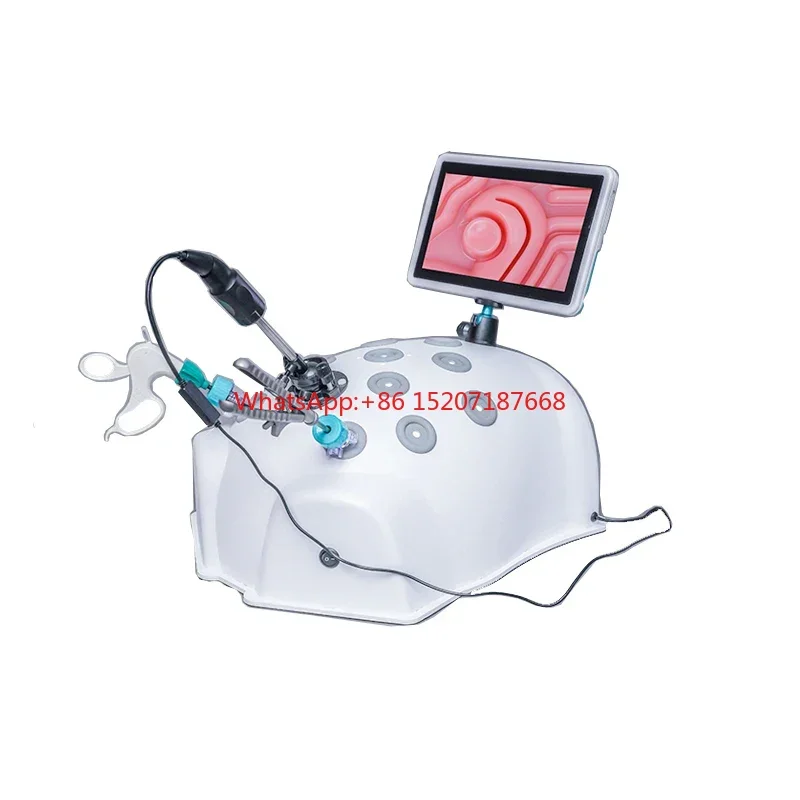 

Laparoscopic Simulator /Trainer Box, Laparoscopic Training Box laparoscopy training box laparoscopy simulator