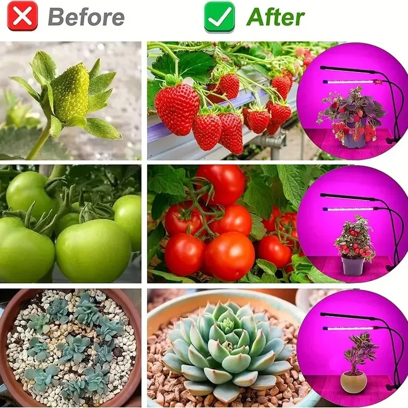 USB-LED-Pflanzenwachstumslicht für den Innenbereich, Garten, 10 dimmbare Stufen, Wachstumslicht, volles Spektrum, Timer-Einstellung, Hydrokultur-Gewächshaus, 3 Stunden/9 Stunden/12 Stunden – Detail 12