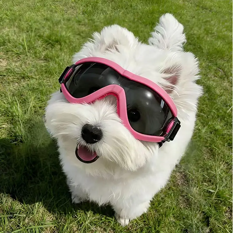 Dog Goggles for Small Medium Dogs UV Protection Windproof Pet Sunglasses Adjustable Strap Puppy Eye Protection Glasses - view 3