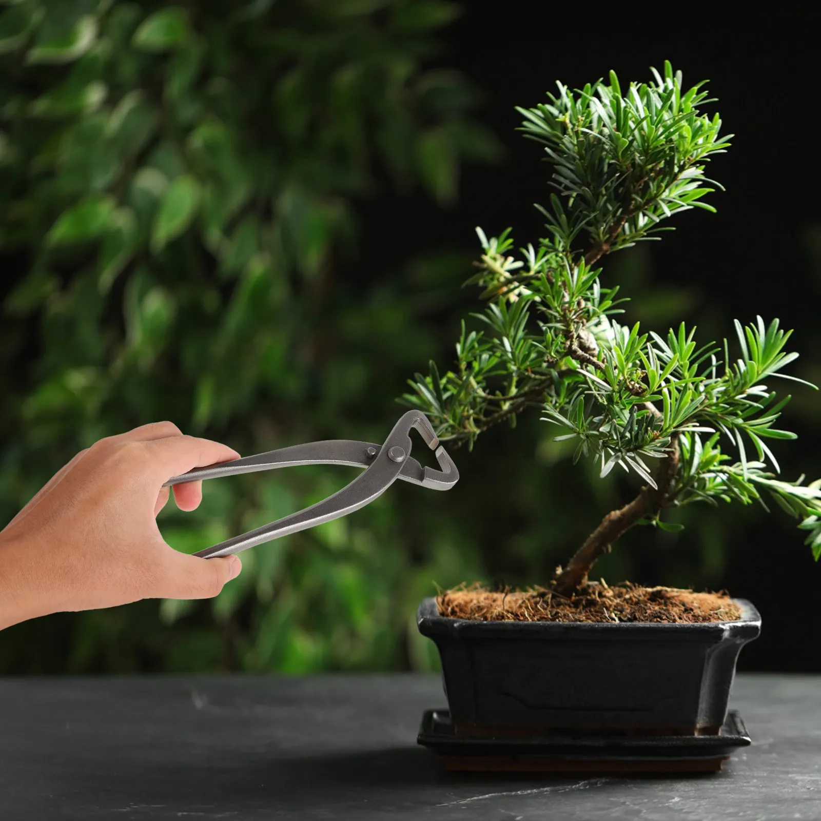 Bonsai Pruning Tools Set Carbon Steel Cutters Splitter and Bender with Ergonomic Handles for Tree Shaping