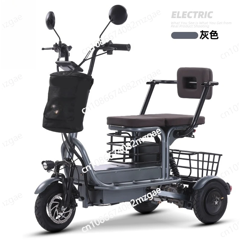 

Adult Electric Tricycle 2 People Powerful 800W 48V 10 Inch 3 Wheel Electric with Removable Lithium Battery