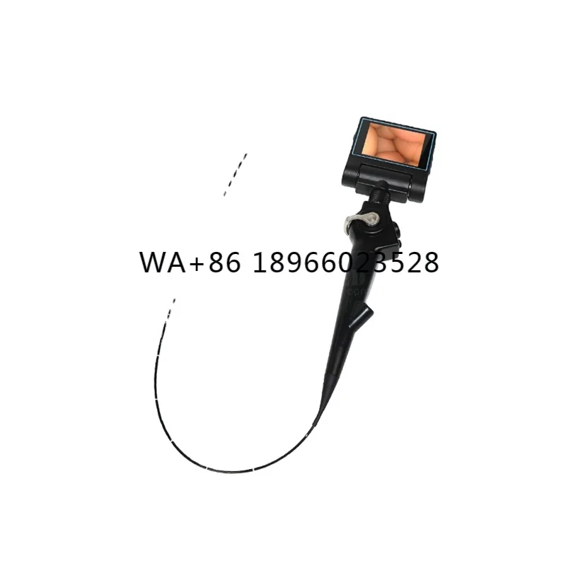 SY-P029-1 Examination broncho videoscope vet video endoscope