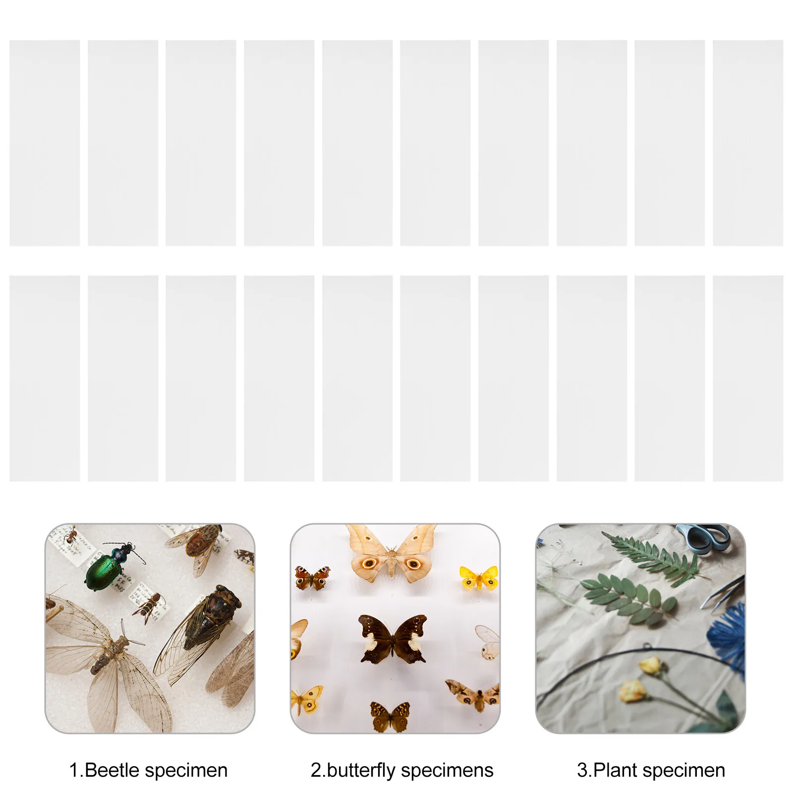 100Pcs Premium Clear Glass Microscope Slides for Biological Education Laboratory Use Blank Object Slides for Cell Tissue Insect