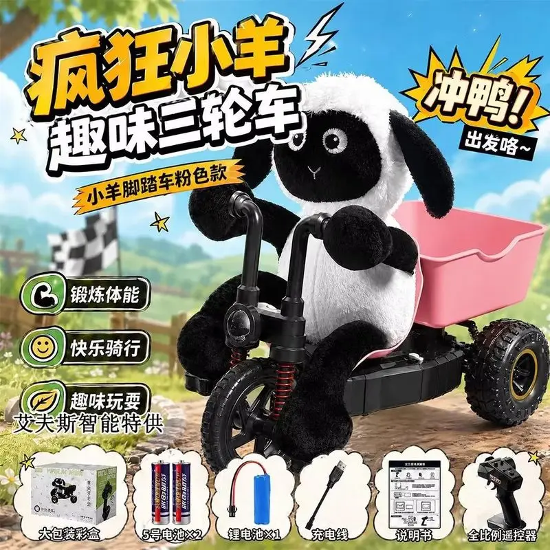 

Girls Remote Control Tricycle - 2.4G Long Range RC Car, Kids Electric Off-Road 3 Wheel Bike, Rechargeable Toy