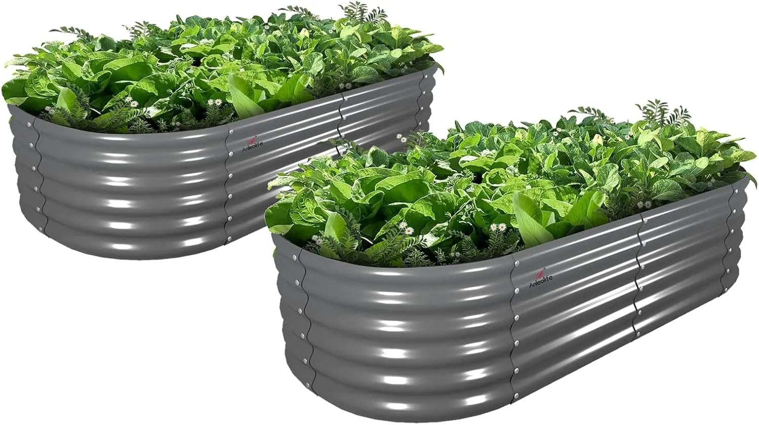 Outdoor Planting, Galvanized Steel, Quartz Grey, 2 Pcs 6X2X1.5 ft Oval Round for Vegetables Flowers Herb