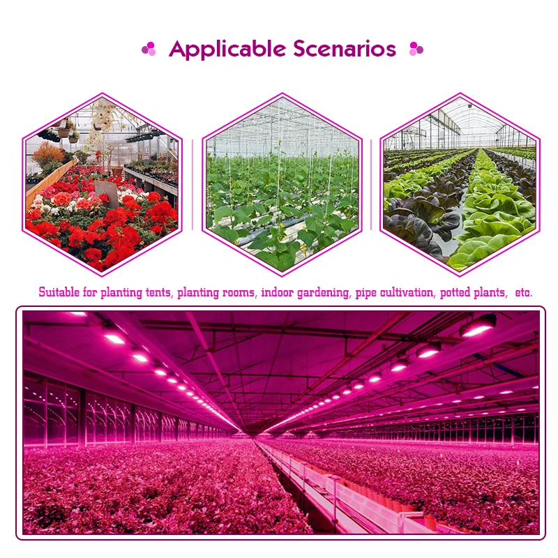 LED Grow Light Volledige Spectrum Phyto Lamp AC 220V 50W 100W Schijnwerper met Controle Plug voor Indoor Kweektent Planten Groei Licht