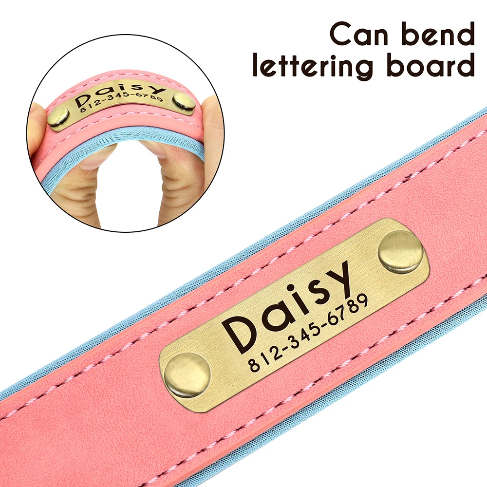 Thumbnail 2 - #75 Best Pet Collars to Buy In 2026