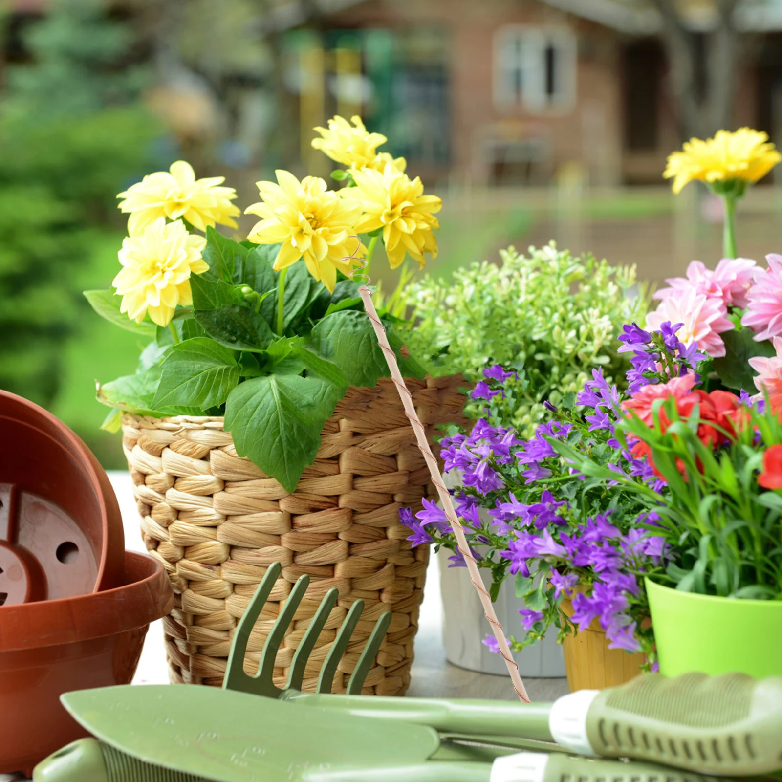 

Copper Electroculture Gardening Kit Plant Support Metal Garden Stakes Outdoor Decorative Stakes Balcony Plants Copper Wire