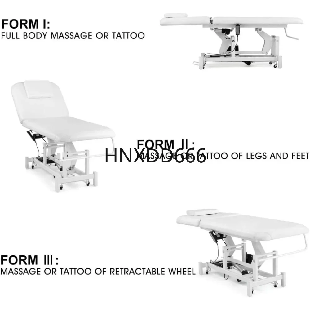 110V Removable 2 Motor Beauty Bed Medical Aesthetic Tattoo Chair with Adjustments, Hand/Foot-Operated, Massage Tables & Beds